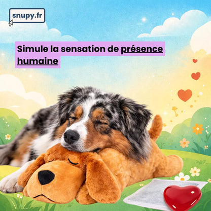 Peluche à battement de cœur