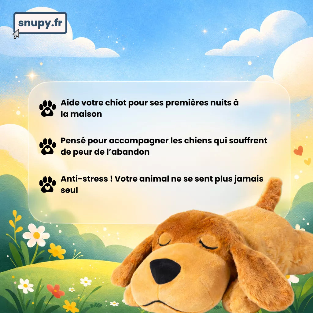 Peluche à battement de cœur