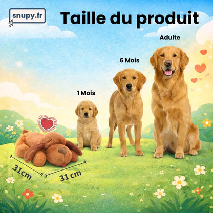 Peluche à battement de cœur